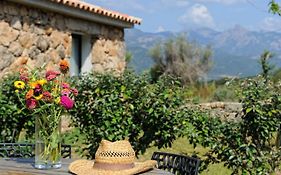 Clos Simoni
